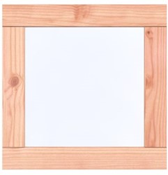 Raam Prestige - Douglas onbehandeld - vast raam, afm. 66 x 66 cm