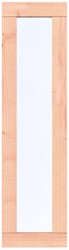 Raam Prestige  - Douglas onbehandeld - vast raam, afm. 40 x 150 cm