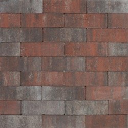 Klinker Tremico Twents bont - per m2 - 20 x 6,7 x 6 cm