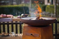 Barbecue Orion