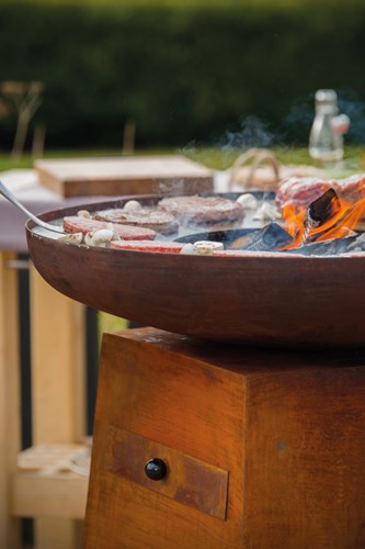 Barbecue Orion