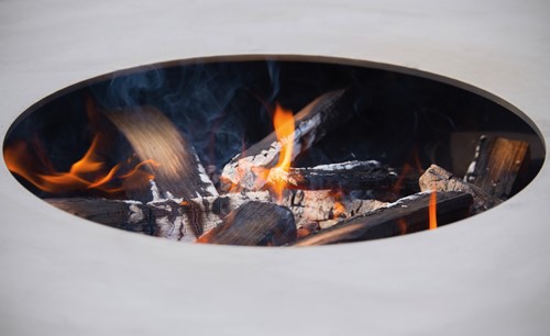 Barbecue Orion