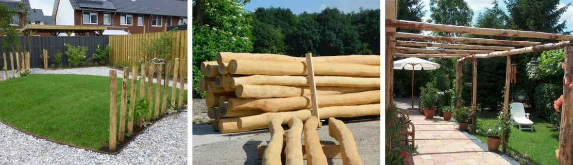 Robinia, duurzaam hout voor ongekende toepassingen
