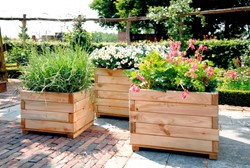 Tuin en terras