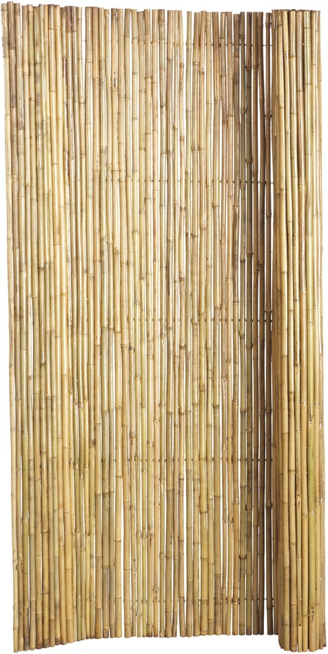 vervaldatum shampoo na school bamboe tuinscherm op rol, afm. 180 x 180 cm, blank bij Buitengoed