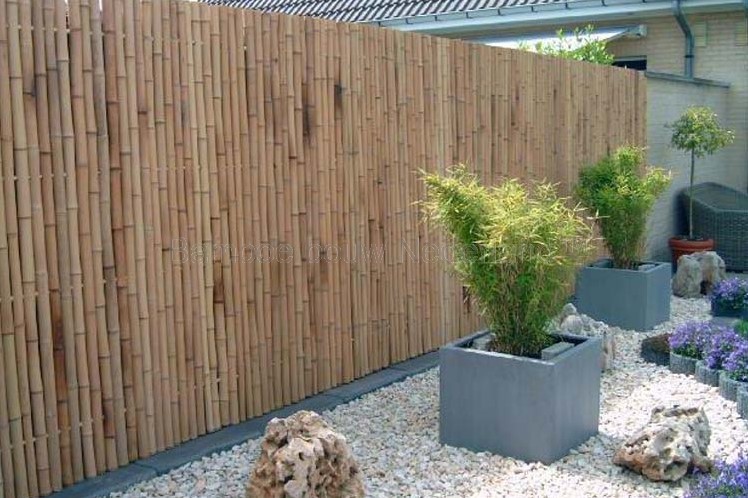 Uitvoeren Verscheidenheid Zelfgenoegzaamheid bamboe tuinscherm op rol, afm. 180 x 100 cm, blank bij Buitengoed