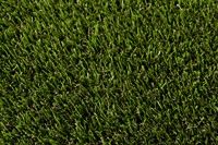 BuitenGrass kunstgras Coupon, diverse soorten en afmetingen, per m2