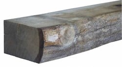 Eiken biels  ± 15x 25x 260