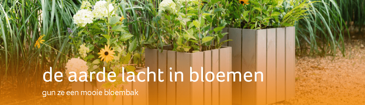 buitengoed - groep 1150 bloembakken