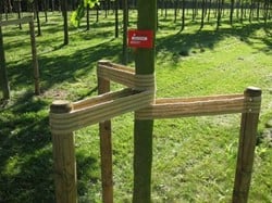 Boomband Jute - lengte 75 - 90 cm + 2 nagels