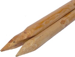 Cilindrisch rondhouten paal - Ø10 cm - lengte 300 cm - blank - gepunt