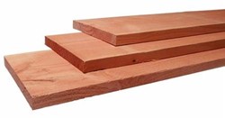 Douglas plank - geschaafd - afm. 1,6 x 14,0 cm - lengte 400 cm