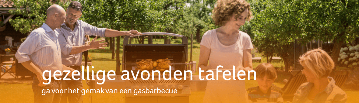 buitengoed - groep 532 gasbarbecues