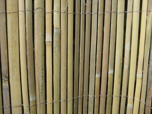 Gespleten bamboemat op rol, 500 cm breed, blank-2