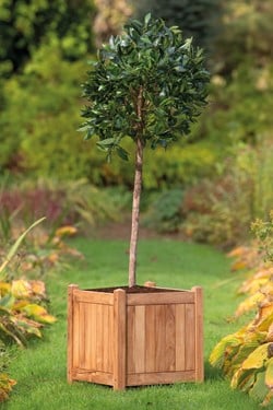 Bloembak Lombok - teak - afm.  45 x 45 x 47 cm