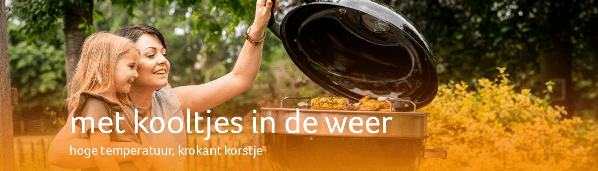 buitengoed - groep 533 houtskoolbbq