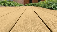 cedar sfeer