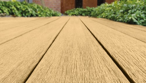 cedar sfeer