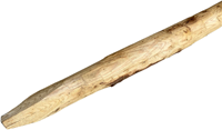 Kastanje geschilde palen - kopmaat Ø 10 / 12 cm - lengte 250 cm 