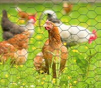 Volièregaas en Kippengaas - sterk materiaal - diverse breedtes