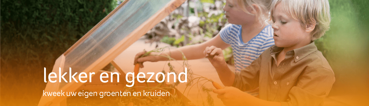 buitengoed - groep 500 minigarden