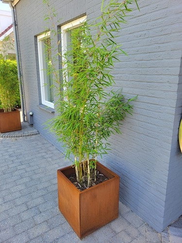 Cortenstalen plantenbak, afm. 90 x 60 x 60 cm-3