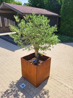 cortenstalen plantenbak