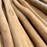 Robinia spintvrij geschuurde palen -kopmaat Ø 10 / 12 cm - lengte 300 cm-3