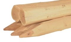 Robinia spintvrij geschuurde palen gepunt - kopmaat Ø 10 / 12 cm - lengte 250 cm