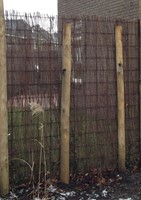 Heidemat op rol - afm. 175 x 500 cm - ca. 1,5 cm dik -2