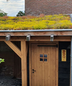 Sedum dak - Groendak lichtgewichtsysteem per m2